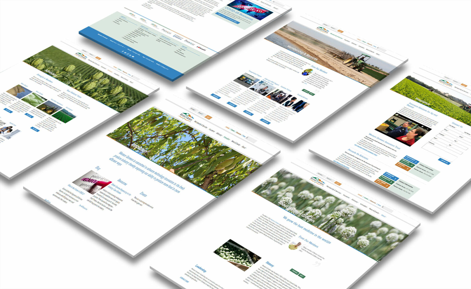 Old Harbor Insurance Services Website Design