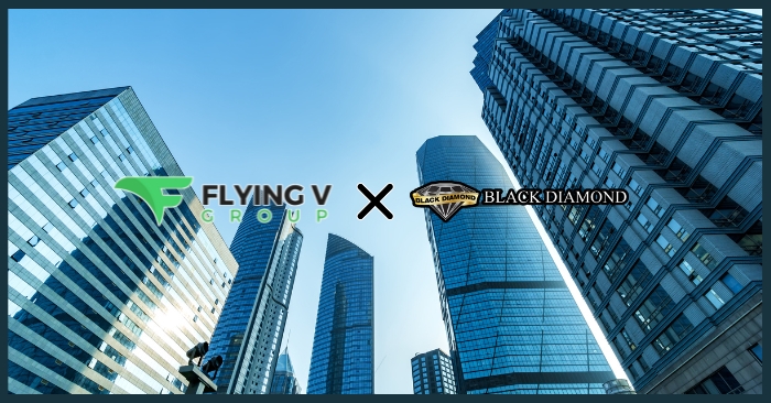 Black Diamond Valet Chooses Flying V Group for SEO | News