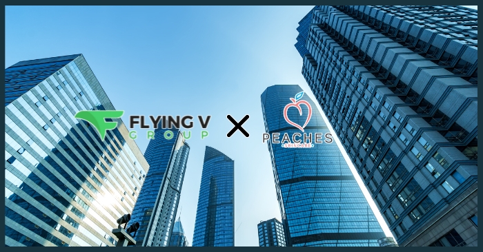 Peaches Skincare Chooses Flying V Group for SEO Services | FVG News