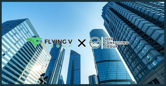 Flying V Group and Seed Consulting Group Team for Web Re-Design