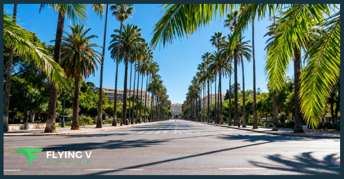 Flying V Group Named a Top B2B Company in California by Clutch