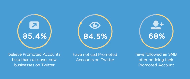 Promoted-Twitter-Account-statistics