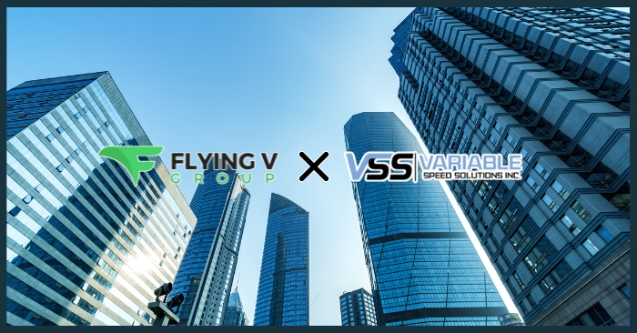 VSS Pumps & Controls chooses Flying V Group to run its Email Marketing Campaign and Graphic Design
