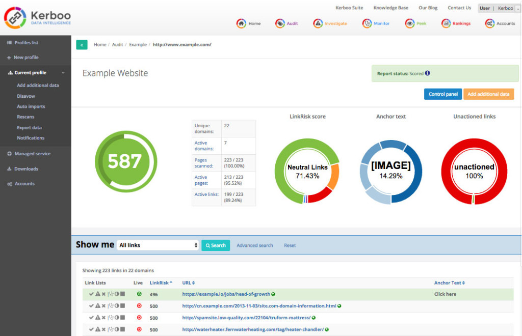 link-audit