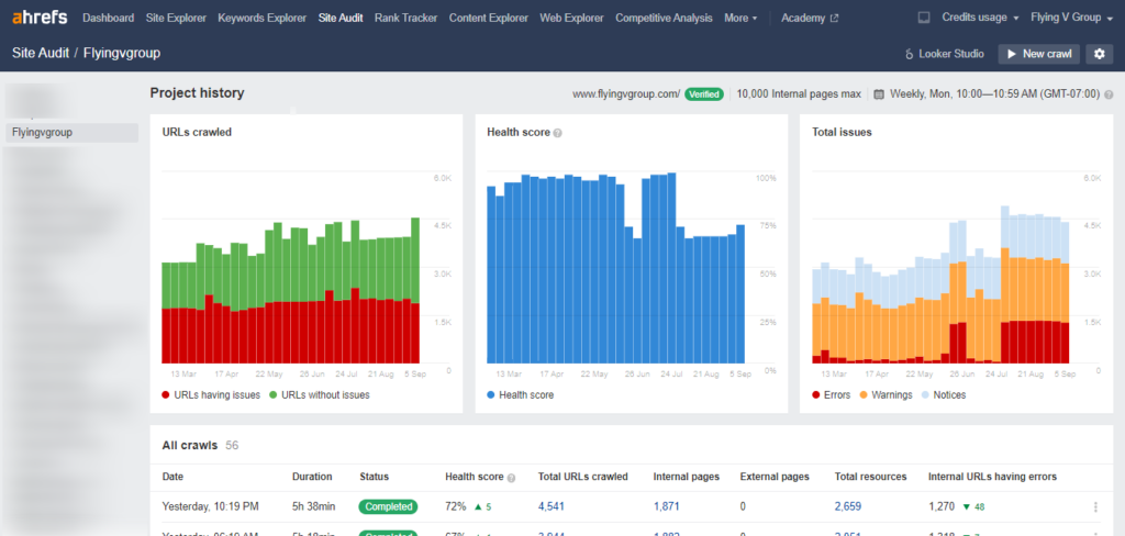 Site-audit-Flyingvgroup