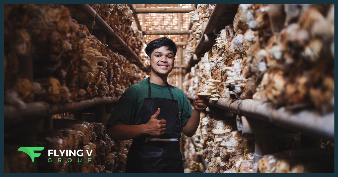 The Ultimate Guide to Marketing and Scaling Your Functional Mushroom Business The Ultimate Guide to Marketing and Scaling Your Functional Mushroom Business