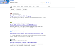 austin-seo-expert-search