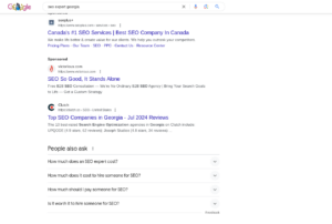 seo-expert-georgia-google-search