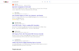 perth-seo-expet-google-search