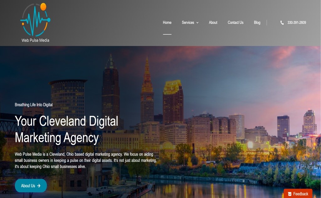 Web-Pulse-Media