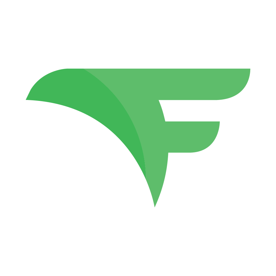 Flying V Group logo
