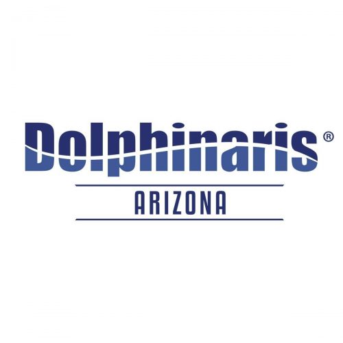 Dolphinaris Social Media Management