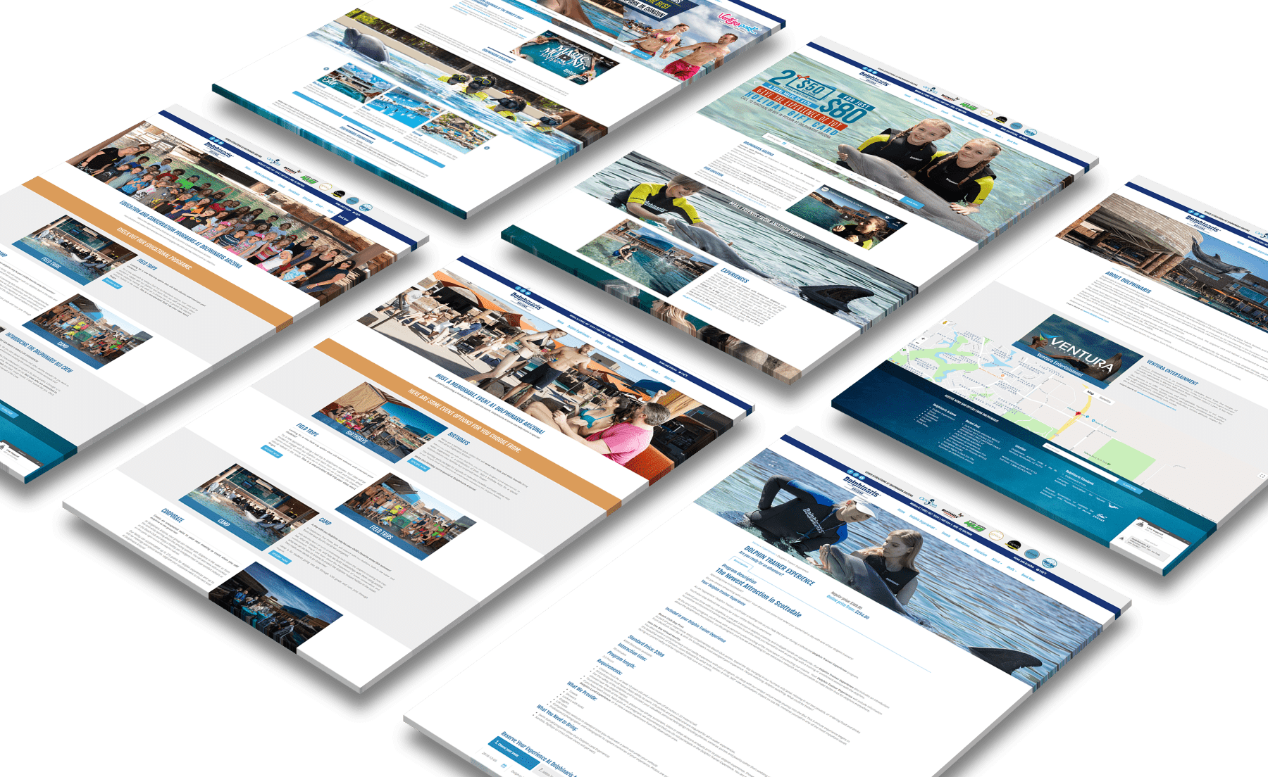 Dolphinaris Website Design