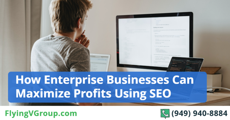 How Enterprise Businesses Can Maximize Profits Using SEO