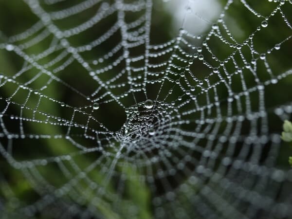 crawler friendly websites