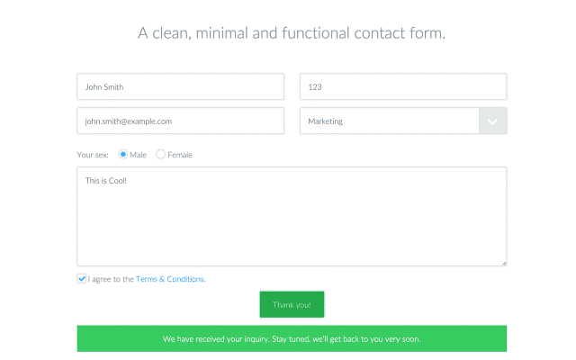 optimized contact form